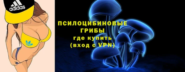 герыч Алексин