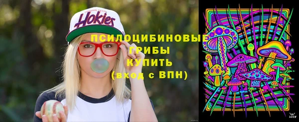 герыч Алексин