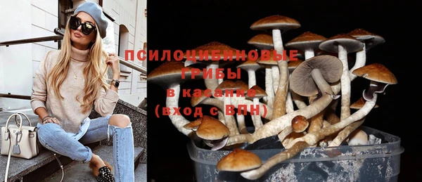 амф Алзамай