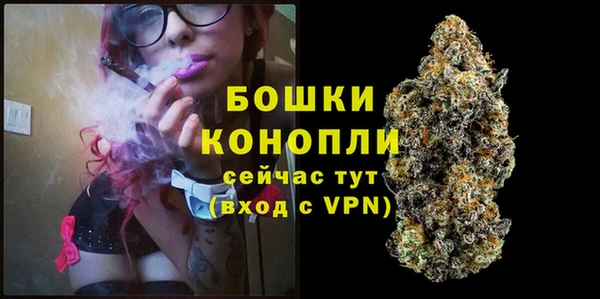 стаф Инсар