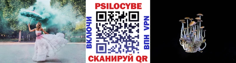цены наркотик Аткарск Псилоцибиновые грибы Cubensis