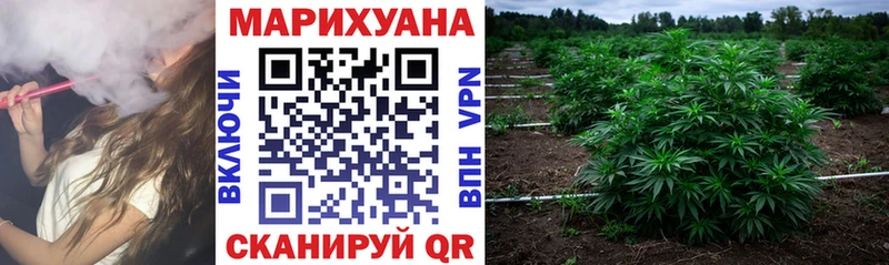 Канабис ГИДРОПОН  Аткарск 